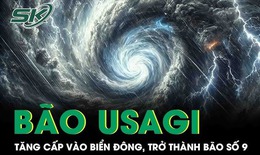 B&#227;o Usagi tăng cấp đi v&#224;o Biển Đ&#244;ng, trở th&#224;nh cơn b&#227;o số 9 trong h&#244;m nay