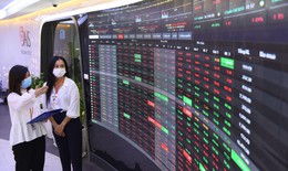 D&#242;ng tiền đang chảy về đ&#226;u trong thời điểm cuối năm 2024?