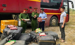 Bắt giữ gần 1 tấn thực phẩm ăn lẩu nhiều người yêu thích