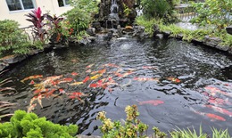 Bất ngờ với khuôn viên xanh mướt, bể cá koi như resort tại cơ sở y tế tuyến dưới