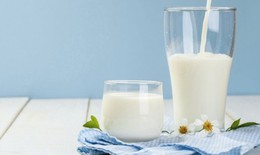 9 thực phẩm hạ acid uric máu kiểm soát bệnh gout