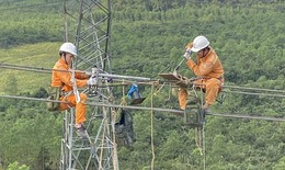 Tổng công ty Truyền tải điện Quốc gia yêu cầu các đơn vị chủ động ứng phó với áp thấp nhiệt đới và mưa lớn