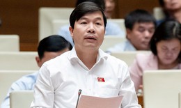 ĐBQH nêu lý do ủng hộ phát triển điện hạt nhân