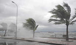 Bão số 7 sẽ suy yếu thành áp thấp nhiệt đới ngay trên Biển Đông