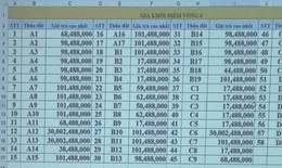 Bỏ cọc đấu giá đất 30 tỷ đồng/m2 có thể bị xử lý hình sự