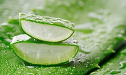 Có nên đắp mặt nạ nha đam mỗi ngày?