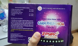 Mua ph&#225;o hoa chơi Tết 2025 cần lưu &#253; g&#236;?