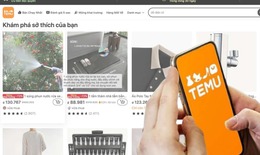 Phó Thủ tướng yêu cầu kiểm soát chặt sàn TMĐT xuyên biên giới, xử lý nghiêm nếu phát hiện hàng giả