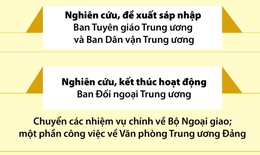 Dự kiến sắp xếp, tinh gọn tổ chức bộ m&#225;y đối với c&#225;c cấp ủy, tổ chức đảng