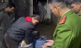 Phát hiện một cơ sở sản xuất giá đỗ bằng hoá chất ở Huế