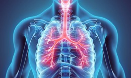 5 cách bảo vệ lá phổi vào mùa đông