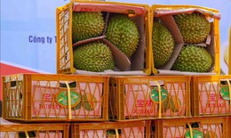11 tháng, ngành nông nghiệp xuất siêu gần 16,5 tỷ USD