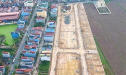 Đấu giá gần 200 lô đất ven Hà Nội, giá trúng chỉ từ 7,9 triệu/m2