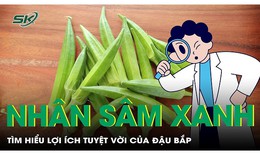 Đậu bắp - ‘nhân sâm xanh’, tìm hiểu lợi ích từ loại quả này