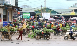 Thăm phi&#234;n chợ chỉ b&#225;n duy nhất một loại quả