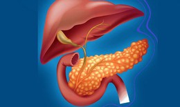 Uống rượu bia có thể mắc viêm tụy cấp gây tử vong nhanh chóng