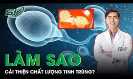 L&#224;m sao để cải thiện chất lượng tinh tr&#249;ng?