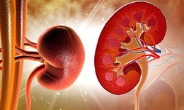 7 biến chứng nguy hiểm khi mắc suy thận mạn t&#237;nh