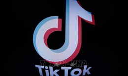 Cơ quan chống độc quyền Italy phạt TikTok gần 11 triệu USD