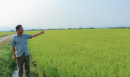 Kỳ lạ: Khu đất múc lên rồi lại tự đầy