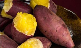 Người bệnh đái tháo đường có nên ăn khoai lang?