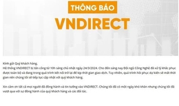 Hệ thống chứng kho&#225;n VNDIRECT bất ngờ bị sập