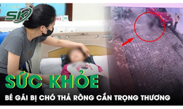 Diễn biến tình hình sức khỏe bé gái sinh năm 2019 bị chó thả rông cắn đến trọng thương