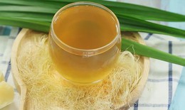 9 m&#243;n ăn b&#224;i thuốc trong Đ&#244;ng y giảm b&#233;o, giảm mỡ hiệu quả