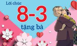 Lời chúc ngày Quốc tế Phụ nữ 8/3 kính tặng bà ý nghĩa nhất