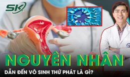 Đ&#226;u l&#224; nguy&#234;n nh&#226;n dẫn đến v&#244; sinh thứ ph&#225;t?