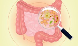 Đừng nhầm lẫn giữa men tiêu hóa và men vi sinh