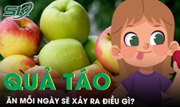 Ăn táo mỗi ngày điều gì sẽ xảy ra với cơ thể?