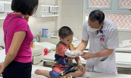 Bé trai vỡ thận vì bị 2 con chó béc-giê tấn công