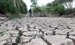 V&#236; sao C&#224; Mau lại bị hạn nặng?