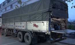 Tiêu hủy gần 2,7 tấn tinh bột chế biến bún tươi, bánh phở không rõ nguồn gốc