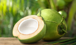 Người bệnh viêm loét đại tràng có nên uống nước dừa không?