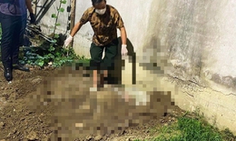 Lời khai nghi phạm 15 tuổi sát hại bạn gái, phi tang trong vườn chuối ở Hải Phòng