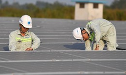 Điện mặt trời mái nhà giá 0 đồng gây lãng phí lớn