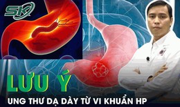 Vi khuẩn HP c&#243; l&#224; nguy&#234;n nh&#226;n g&#226;y ung thư dạ d&#224;y?