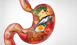 Vì sao cơ thể cần enzyme để tiêu hóa thức ăn?