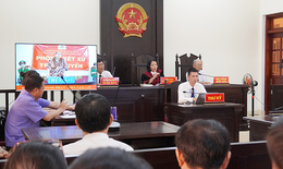 24 tháng tù cho đối tượng có hành vi xâm phạm lợi ích Nhà nước
