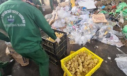 Xử phạt 35 triệu đồng, buộc tiêu hủy 10.000 con vịt giống