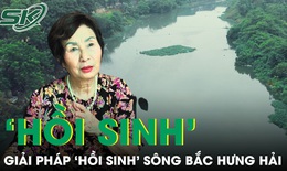 &quot;Hồi sinh&quot; Bắc Hưng Hải: Cần quy tr&#225;ch nhiệm cho người đứng đầu