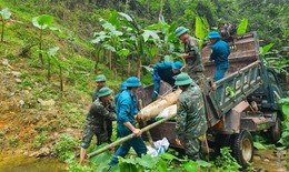 Ph&#225;t hiện, ti&#234;u hủy quả bom hơn 226 kg c&#242;n nguy&#234;n k&#237;p nổ