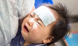 Bé 5 tuổi nguy kịch vì viêm não mô cầu, căn bệnh này lây nhiễm như thế nào?