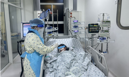 TPHCM: Bé gái 6 tuổi nguy kịch do nhiễm vi khuẩn não mô cầu