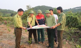 H&#224; Tĩnh chủ động ph&#242;ng, chống ch&#225;y rừng trước m&#249;a nắng n&#243;ng