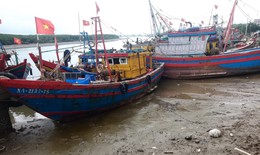 Ngư dân khốn khổ vì cảng cá bị bồi lắng triền miên