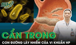 Vi khuẩn HP v&#224; con đường l&#226;y nhiễm chủ yếu