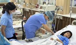 Bị ong đốt khi dừng đèn đỏ, nhiều người phải nhập viện khẩn cấp
